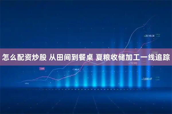 怎么配资炒股 从田间到餐桌 夏粮收储加工一线追踪