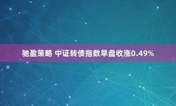 驰盈策略 中证转债指数早盘收涨0.49%