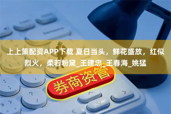 上上策配资APP下载 夏日当头，鲜花盛放，红似烈火，柔若粉黛_王建忠_王春海_姚猛
