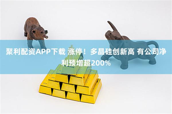 聚利配资APP下载 涨停！多晶硅创新高 有公司净利预增超200%