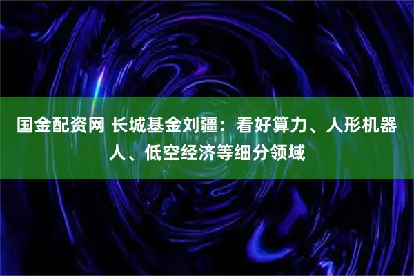 国金配资网 长城基金刘疆：看好算力、人形机器人、低空经济等细分领域